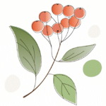 психотерапия калина