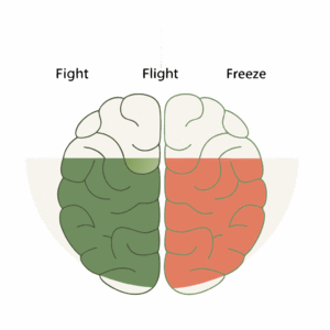 паническая атака мозг